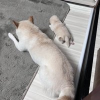 仲良し