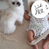 小型犬と赤ちゃん