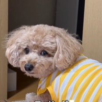 「マッサージする？」と聞いたら…