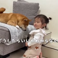 これ、どうやるの？