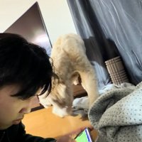 タオルをくわえるはうるくん