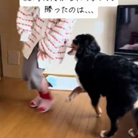 なんだか楽しそう♪