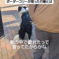 ジッピーくんの気遣い5