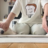 両手