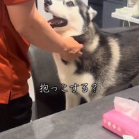 パパをみるニーナちゃん