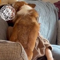 エルモちゃんのおもてなし7