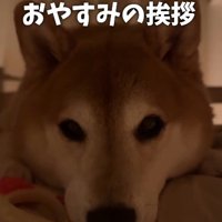 大切なひととき