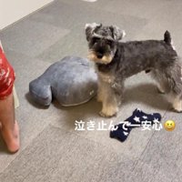 「やっと泣き止んだ」