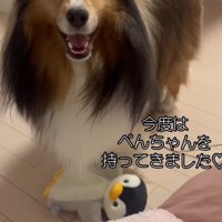 「これもあげていいよね？」