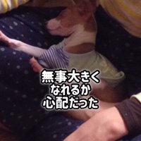 とらきち君のビフォーアフター5