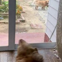 「気は変わった…？」