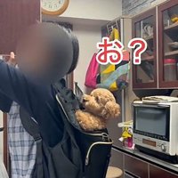 戸棚を開けるお母さん