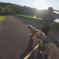 思い出話に花が咲く…