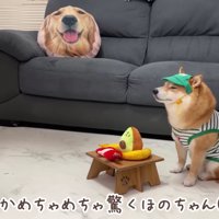 うにくんが営むコンビニ