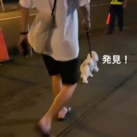 警備員の男性を見て駆け寄る犬