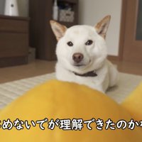 全然遊ぼうとしません！