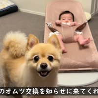 頼もしいお兄ちゃんです♡