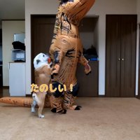 大喜びするブルドッグ