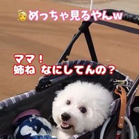 ミルクくんのナイスリアクション9