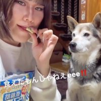 少し齧ってみたら…