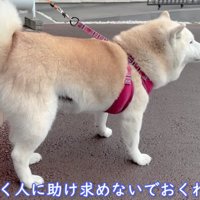 「置いて行かないで～」