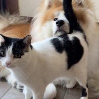 こんなに仲良しに。