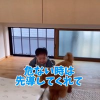 しゃがむ赤ちゃんと犬2