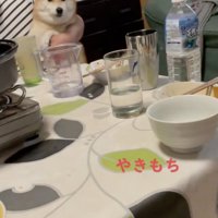 止まらない不満！