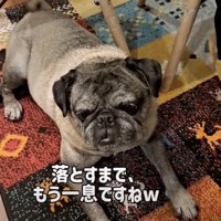 「うん、良いかんじ」