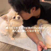納得がいっていない犬