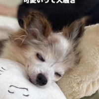 愛されまくっています