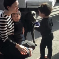 男の子のそばに立つ犬