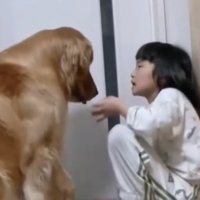 うつむく犬と女の子