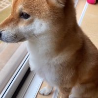 寂しそう…
