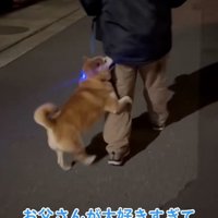 お父さんに飛びつくロンくん