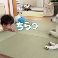 おまめちゃんをチラリ