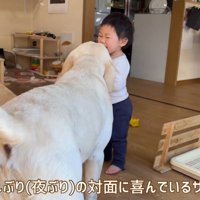 「おはよう」のご挨拶中♪