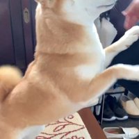 飛びついて熱烈歓迎！