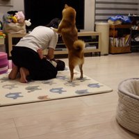 「妹を食べないで！！」