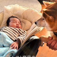 いとちゃんの成長記録8