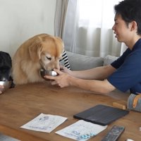 食欲が出たようです！