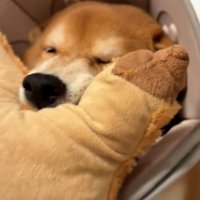 少し目が開いた長三郎くん