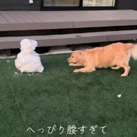 「お前は誰なんだ！！」