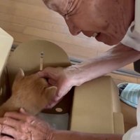 子犬に手を添える人