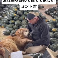 「なでてほしいな…」