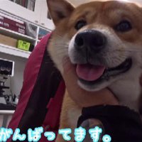 診察も検査も頑張れそう