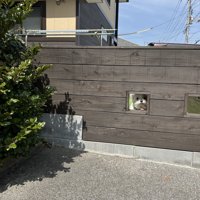 ひょっこり
