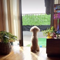 少しでも、前を向けたかな