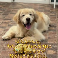 ぼんちゃん、幸せになってね！