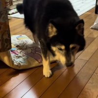 ひとりで歩けるよ